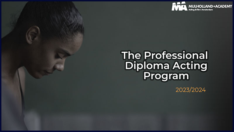 The-Professional-Diploma-Acting
